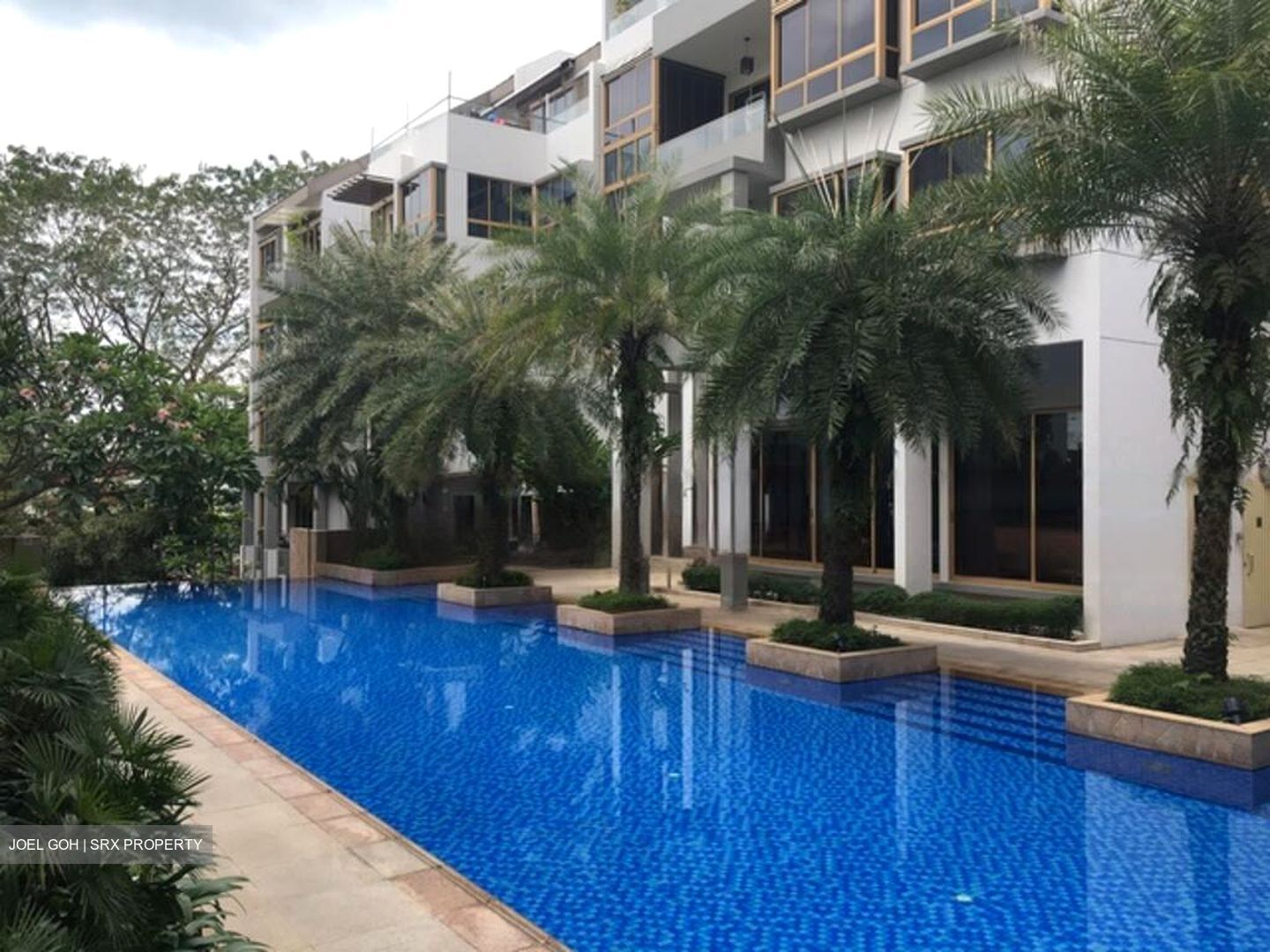 The Maylea (D5), Condominium #480350071